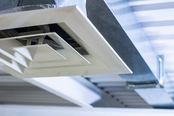 Best Best Air Duct Cleaning Company  in Wabasha, MN