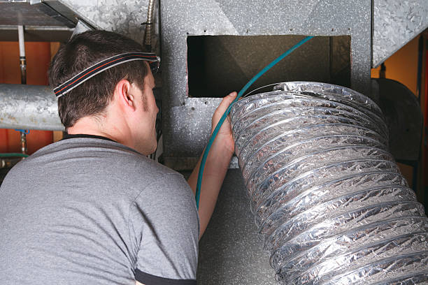 Best Air Duct Inspection  in Wabasha, MN