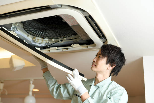 Best Air Duct Cleaning Near Me  in Wabasha, MN