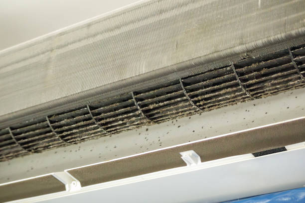 Best Residential Air Duct Cleaning  in Wabasha, MN