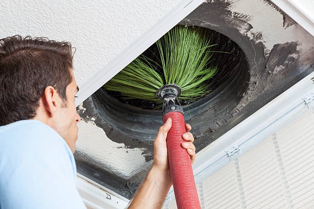 Best Duct Cleaning for Offices  in Wabasha, MN