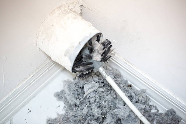 Best Air Duct Cleaning Near Me  in Wabasha, MN